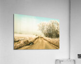 Winter road wonderland Acrylic Print