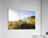 Boulder bay Acrylic Print