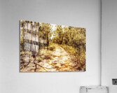 Dabble way  Acrylic Print