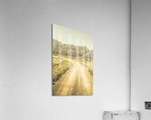 Empty curved gravel road in Tasmania Australia Acrylic Print