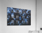 Blueberry batch Acrylic Print