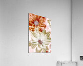 Chrysanthemum creativity Acrylic Print