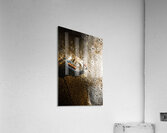 The tide and its takers Acrylic Print