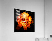 Flower skull Acrylic Print