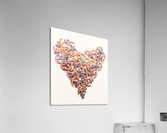 Anchor heart Acrylic Print