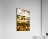 Cygnet rustic farming fields Acrylic Print