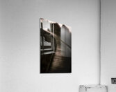 Forest Of Darkness Acrylic Print