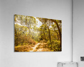 Nth Stradbroke Is. Acrylic Print