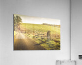 Fielded adventure Acrylic Print