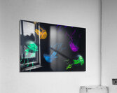 Movement in motions Acrylic Print