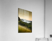 Waratah morning landscape of Mount Bischoff Valley Acrylic Print