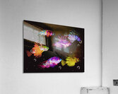 Colors of the tropic Acrylic Print