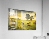 Colourful Australian cattle station Acrylic Print