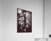 Paris post Acrylic Print