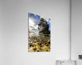 Rugged seascape Acrylic Print