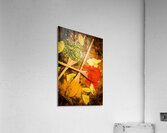 Flavours from the east Acrylic Print