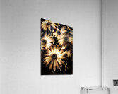 Cape daisy darkness Acrylic Print