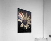 Floral elegance Acrylic Print