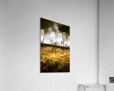 Beauty and barren bushland Acrylic Print