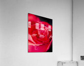 Intimate details Acrylic Print