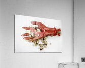 B Grade Horror Film Acrylic Print