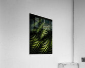 Nature in minimalism Acrylic Print
