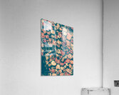 Backlog Acrylic Print