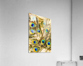 Peacock feathers still life Acrylic Print