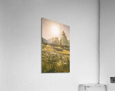 Fields of springtime Acrylic Print