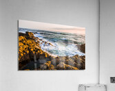 Splash of colour Acrylic Print