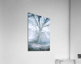 Tree of frost bite Acrylic Print