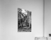 Vintage Outbacks Acrylic Print