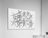 Sea staring Acrylic Print