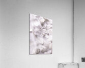 White on white Acrylic Print