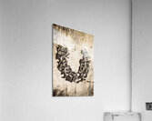 Horse Shoe U Acrylic Print