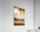 Australian Landscape Photo Of Maleny Hinterland Acrylic Print