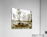 Vintage winter car wreck Acrylic Print