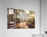 Off road trails Acrylic Print