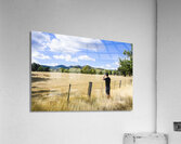 Man enjoying a rural farm landscape in Hobart Acrylic Print