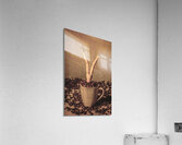 Dining in Acrylic Print