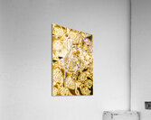 Club of staffs Acrylic Print