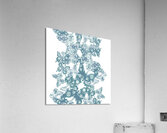 Traces of patterned beauty Acrylic Print