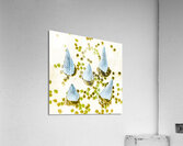 Desserted Acrylic Print