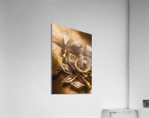 Sealight Acrylic Print