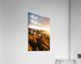 Golden Tasmania coastline Acrylic Print