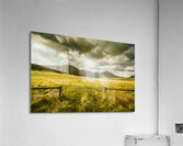 Royal George farm scene Acrylic Print