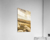 Muted mountain views Acrylic Print