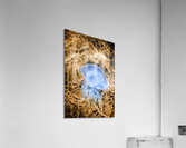 Sea of interconnectivity Acrylic Print