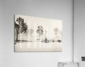 White washed Acrylic Print