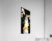Flame Of Desire Acrylic Print